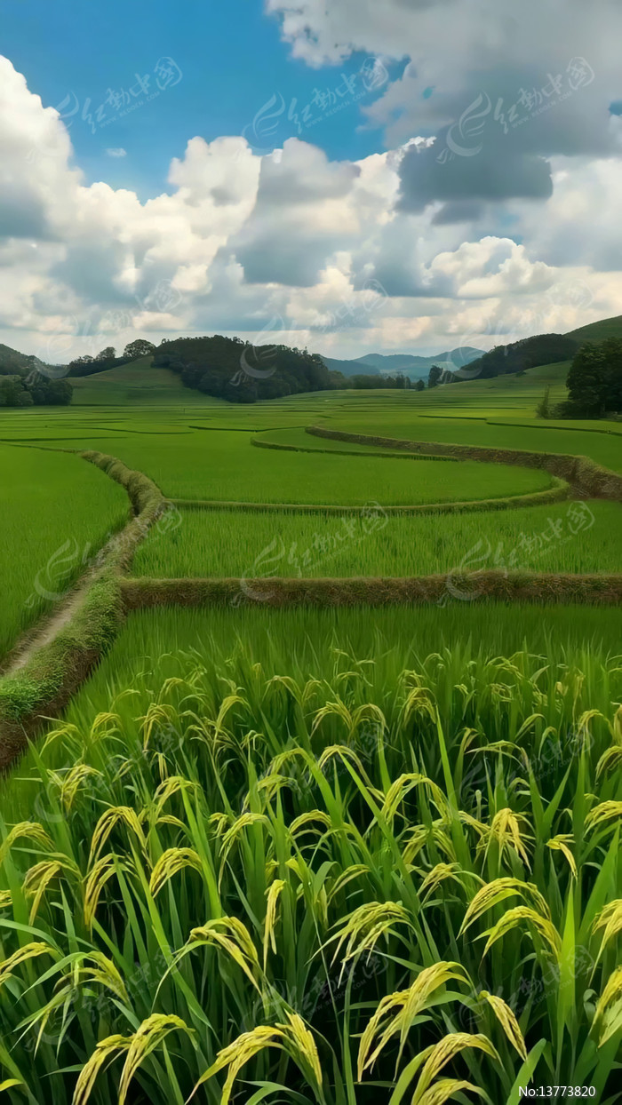 ��԰������Ȼ���