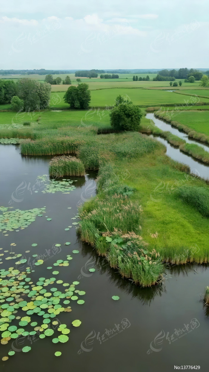 ��԰ʪ�غ�����Ȼ���