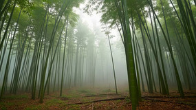 ����������Ȼ����ز�