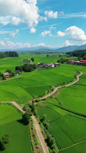 ��嵾�ﺽ��ȫ��