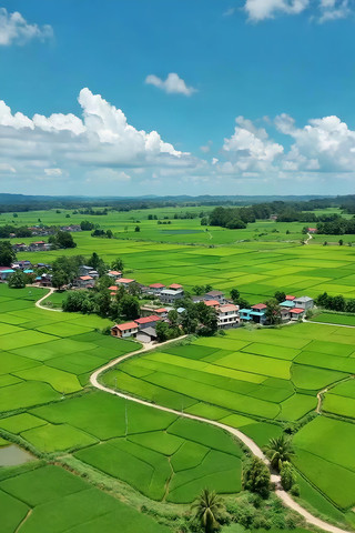 ��嵾�ﺽ��ȫ��