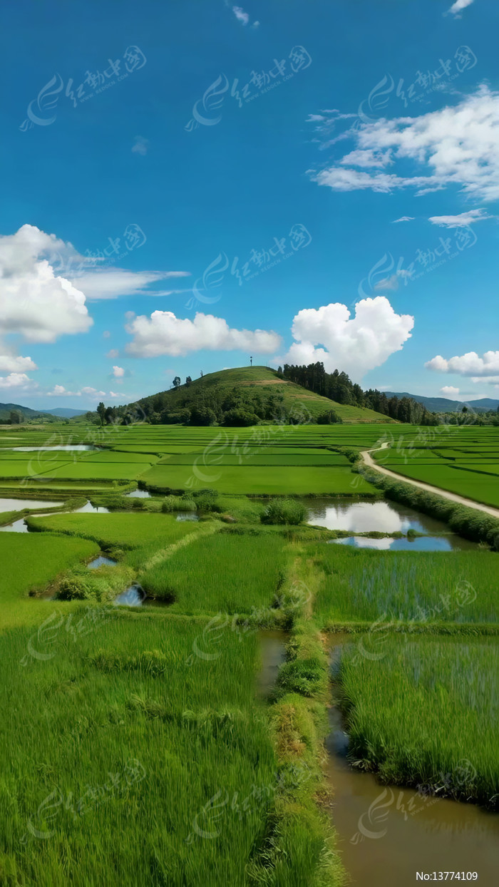 ��嵾����Ȼ���ȫ��