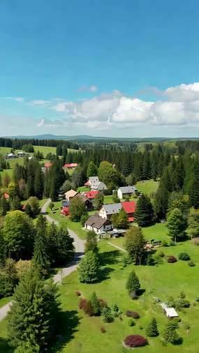 ���ɭ����Ȼ��⺽��