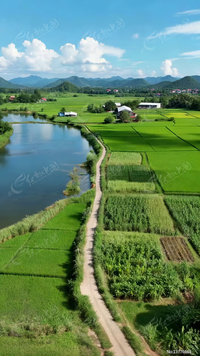 �����Ұ��������ȫ��