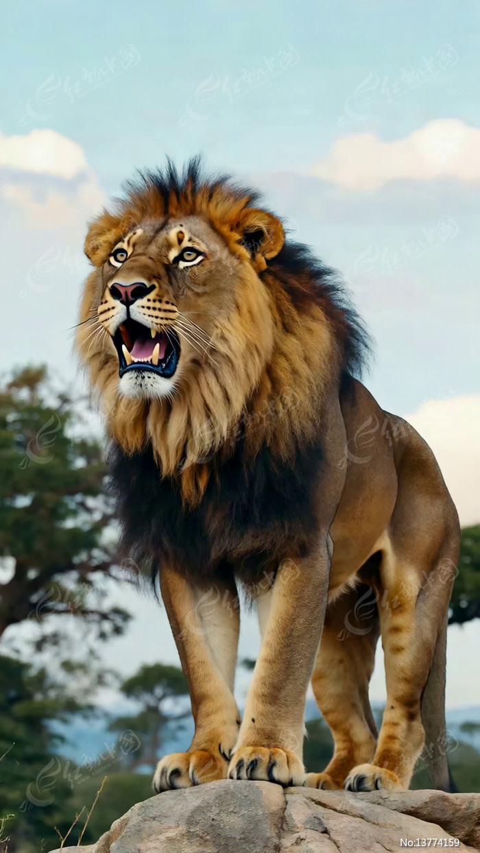 ��ʨվ����ʯ��ͷ���