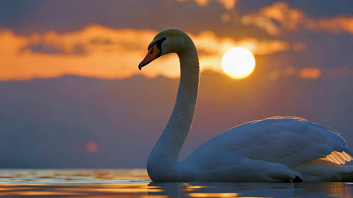 Ϧ���º���İ����