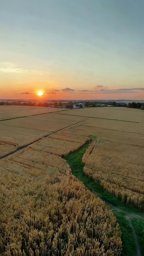 Ϧ�������ﺽ��ȫ��