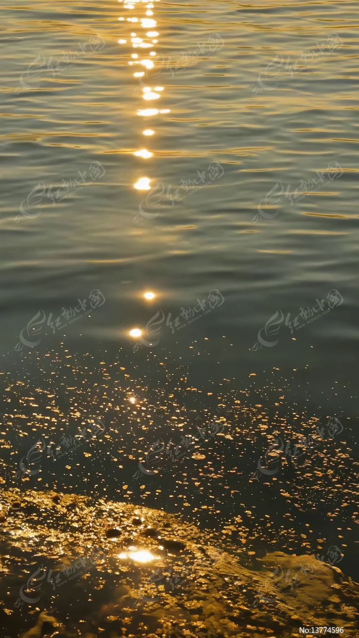 Ϧ����ˮ�沨�����Ծ���