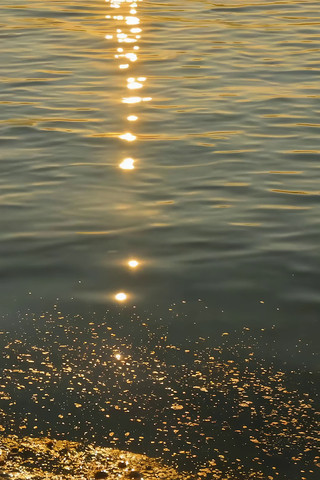 夕阳下水面波光粼粼景象 夕阳下水面波光粼粼景象