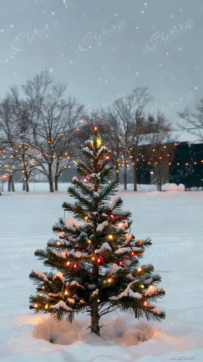 ѩ���е�װ��ʥ����