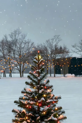 ѩ���е�װ��ʥ����