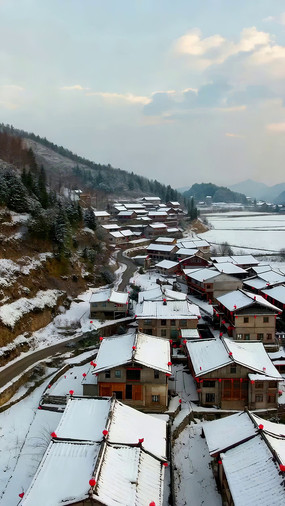 ѩ�������Ӹ��