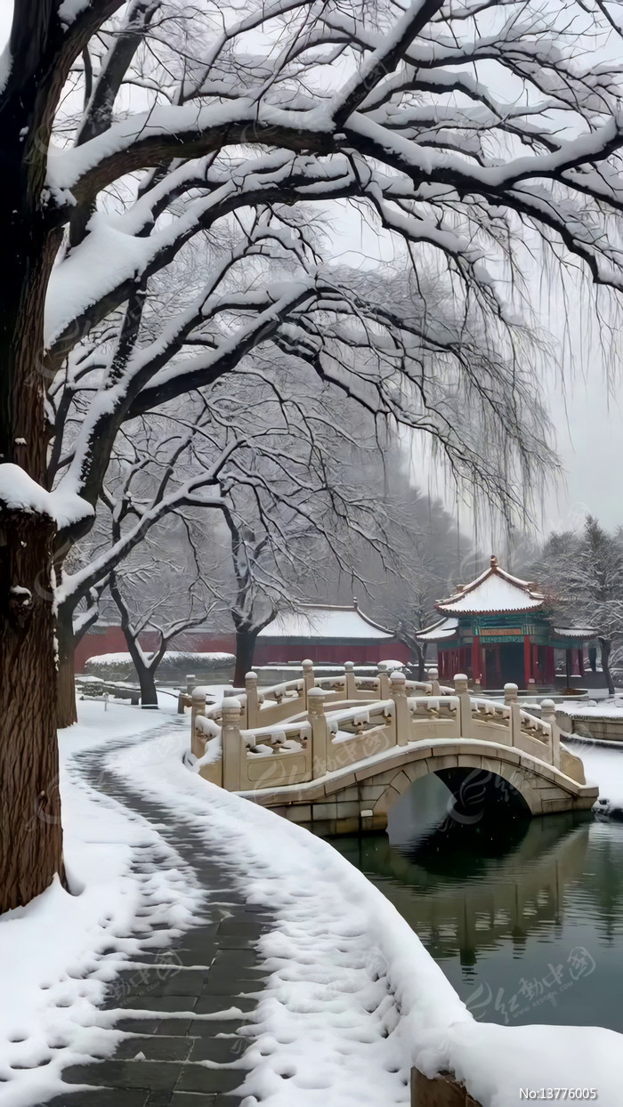 ѩ����ʽ����Ž�������