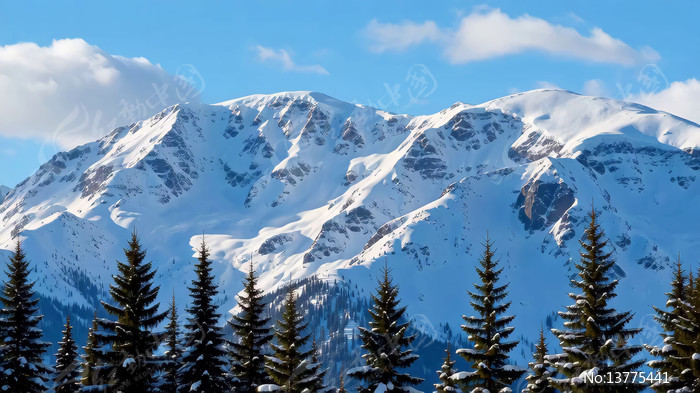 ѩɽɭ����Ȼ���