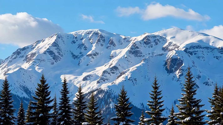 ѩɽɭ����Ȼ���