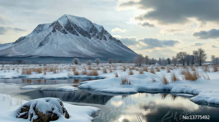 ѩɽ�µĶ��պ����羰