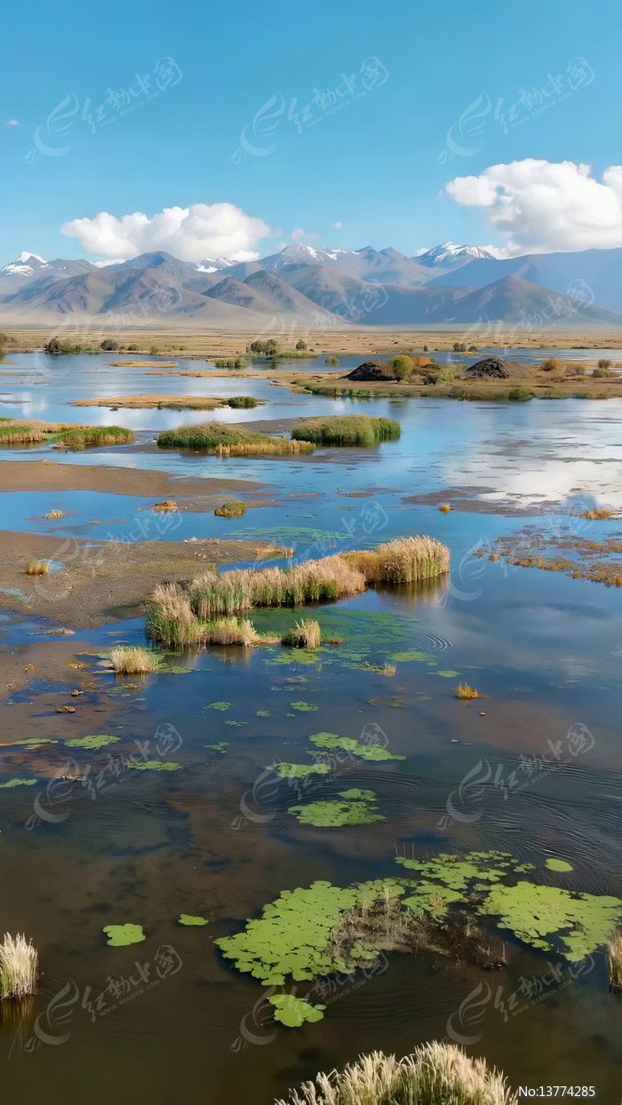 ѩɽ�µĺ���ʪ�ط��