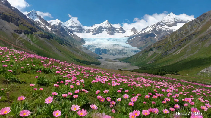 ѩɽ�µ���������