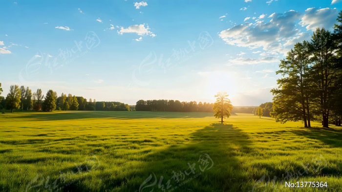 ������ҫ�µĲݵ����ַ羰