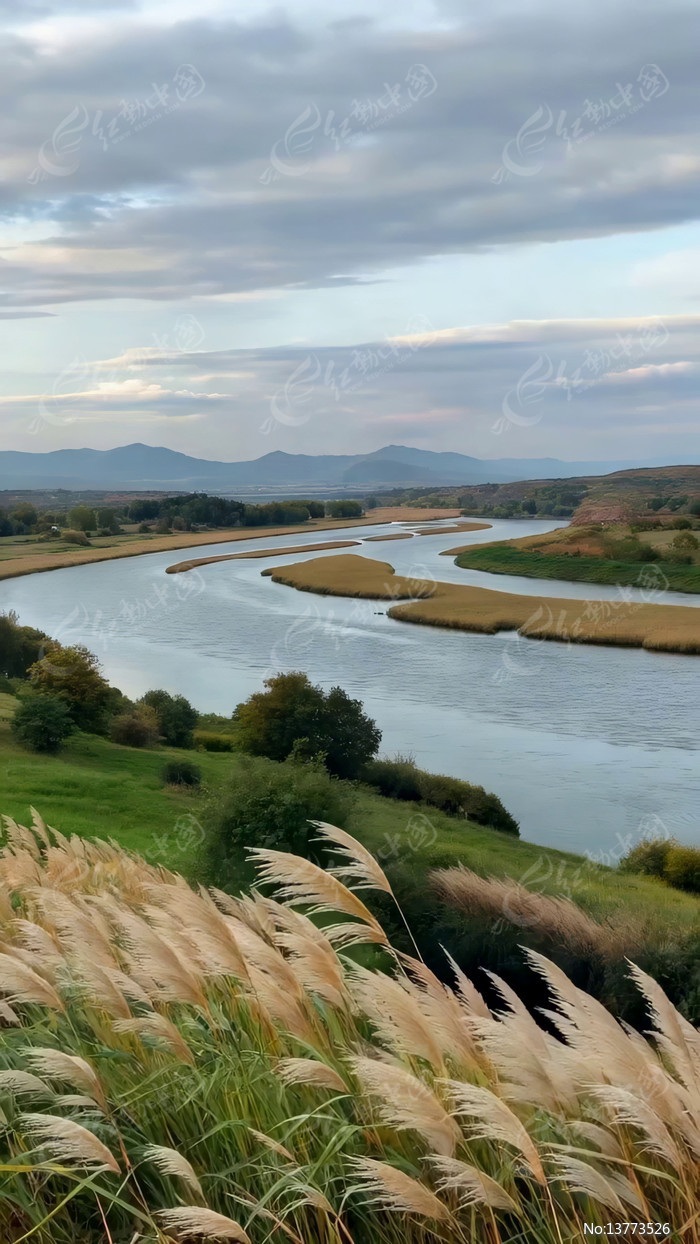 ���Ѻ�����Ȼ���