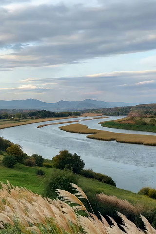 ���Ѻ�����Ȼ���