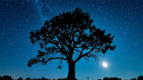 ҹ���´����ľ��׾���