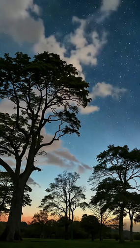 ҹ������ľ���ǿվ���