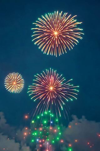夜空绽放的绚丽烟花 夜空绽放的绚丽烟花