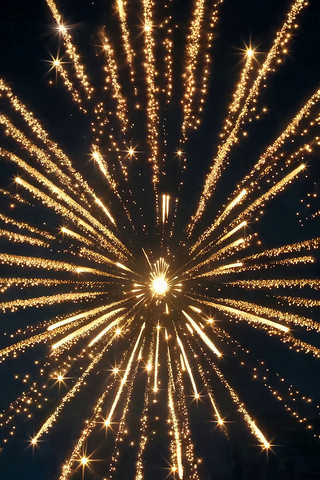 夜空中绽放的金色烟花 夜空中绽放的金色烟花