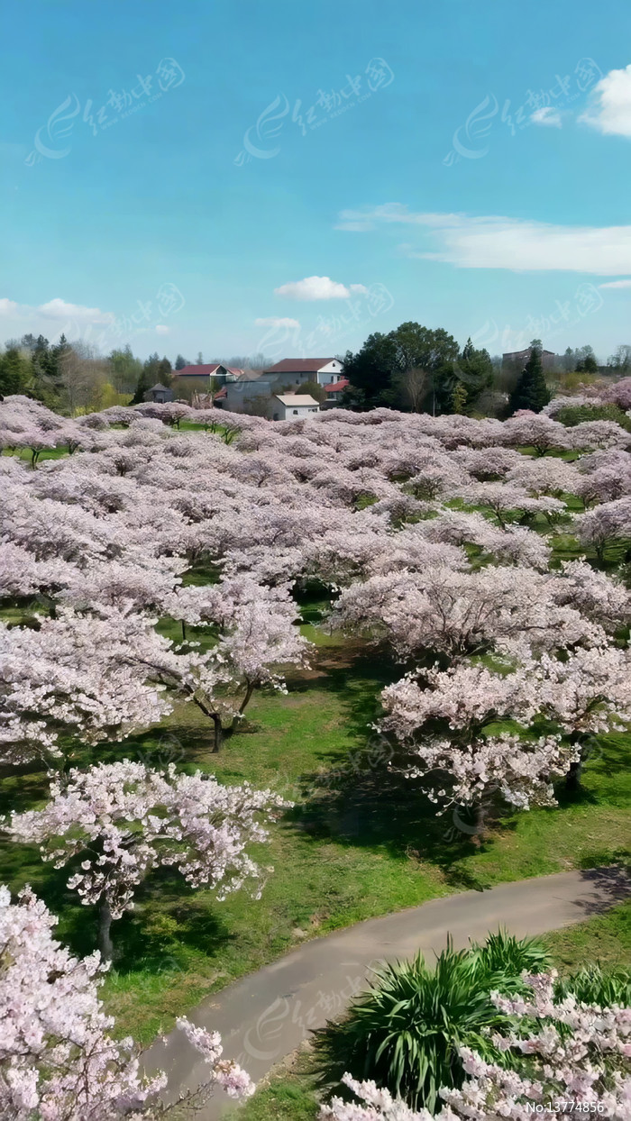 ӣ������԰��⸩�