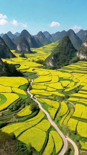 �Ͳ˻�����ɽ����԰���