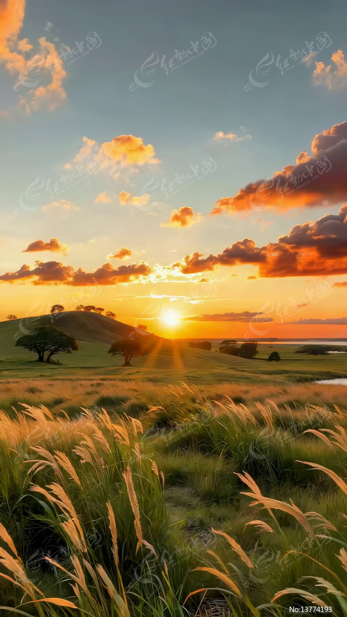 ԭҰ������Ȼ���