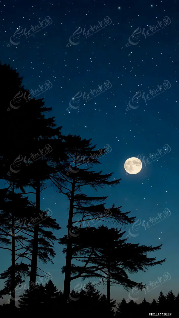 ��ҹ�µ�ɭ���ǿվ���