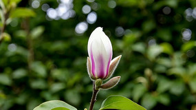 ��������д�ز�