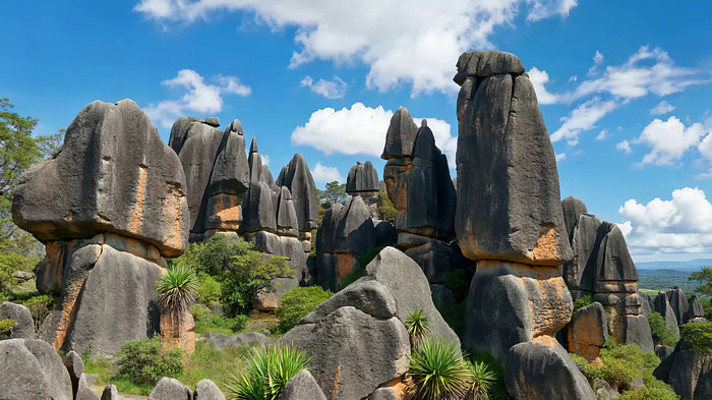 云南石林自然风光景观 云南石林自然风光景观