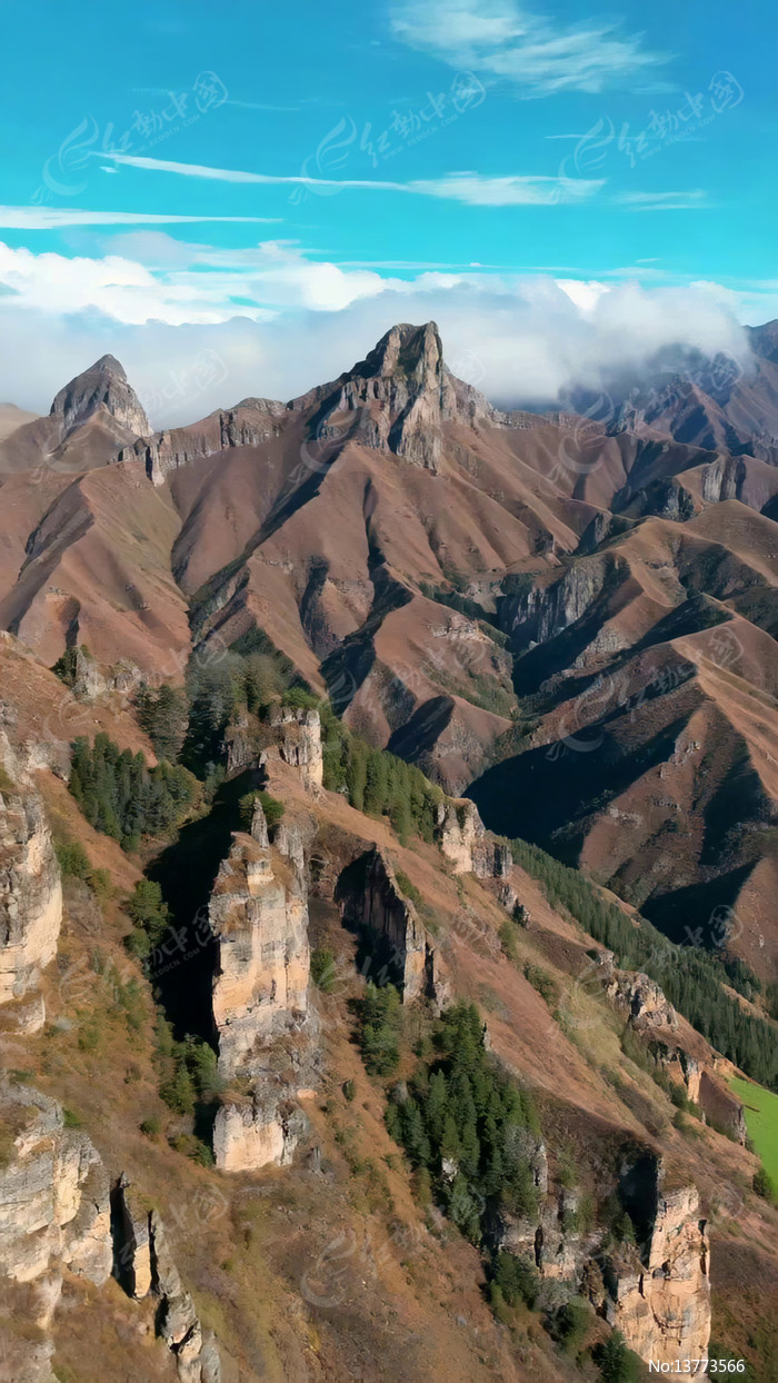 ׳��ɽ����Ȼ���