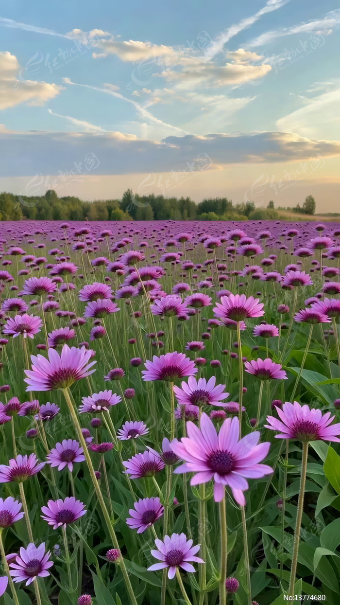 ��ɫ������Ȼ���