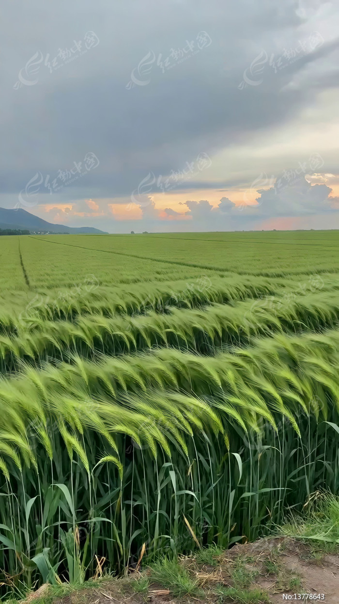 ����ʱ�ֵĹ�������