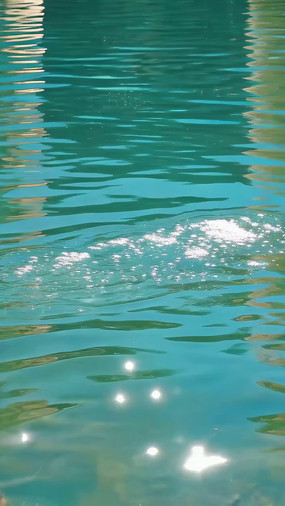 �������Ե�ˮ��ʵ���ز�