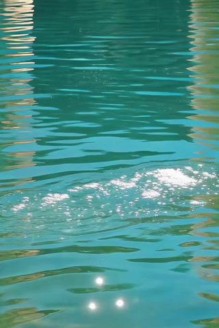 波光粼粼的水面实拍素材 波光粼粼的水面实拍素材