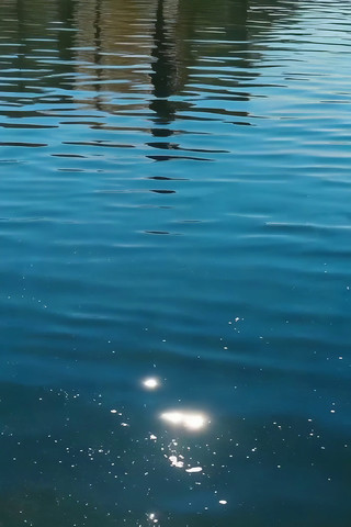 波光粼粼的水面素材 波光粼粼的水面素材