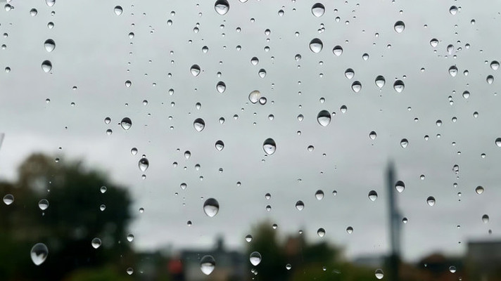 �����������д