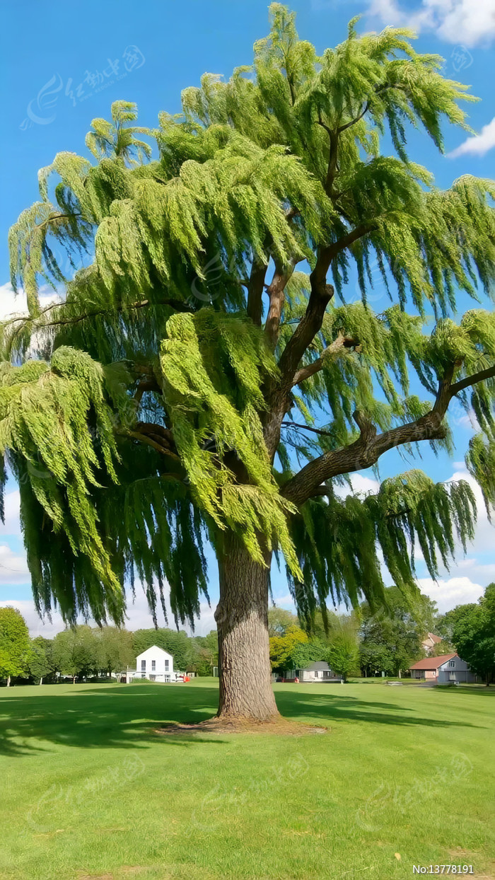 �ݵش�������Ȼ���