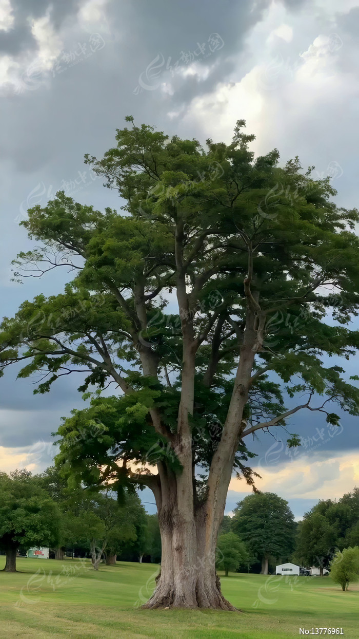 �ݵش����������վ���