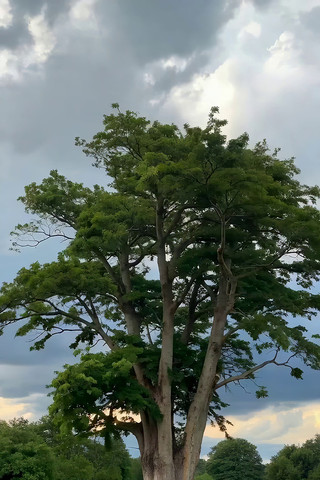 �ݵش����������վ���