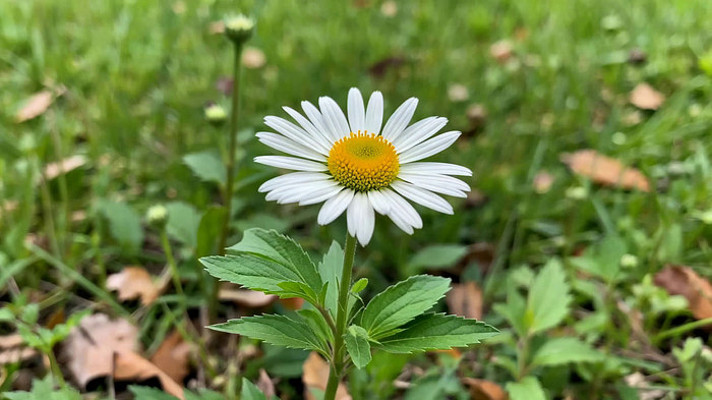 �ݵ��ϵİ�ɫ������д