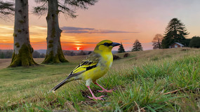 �ݵ��ϵĻ���������羰