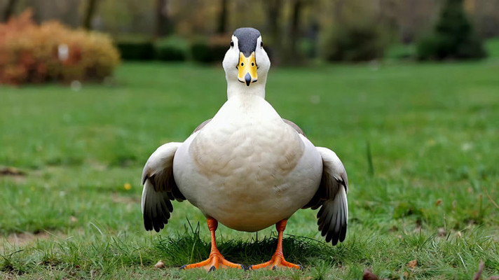 �ݵ���վ��չ���Ѽ��