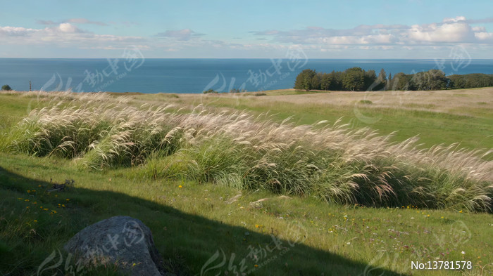 �ݵ��뺣����Ȼ���