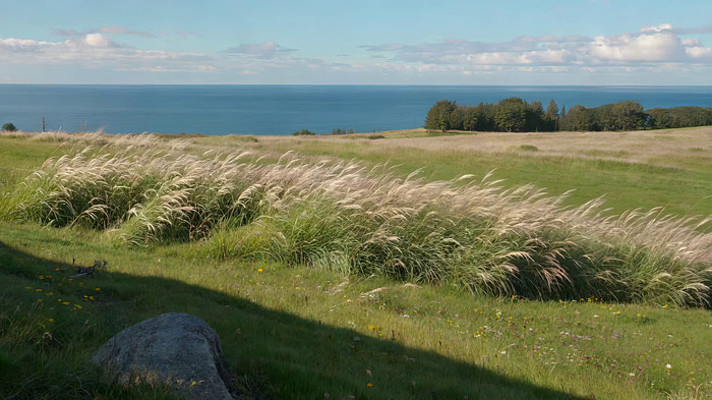 �ݵ��뺣����Ȼ���